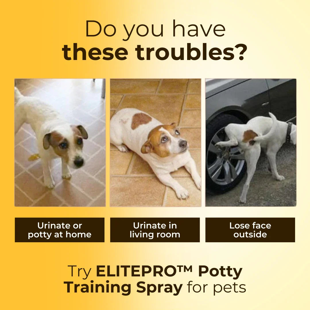 Potty Training Spray For Pets