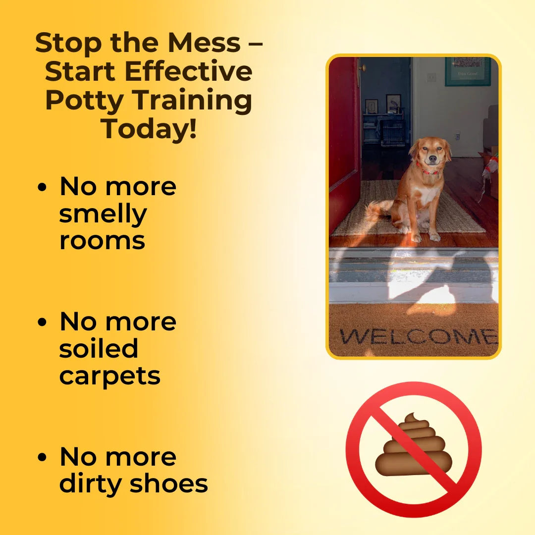 Potty Training Spray For Pets