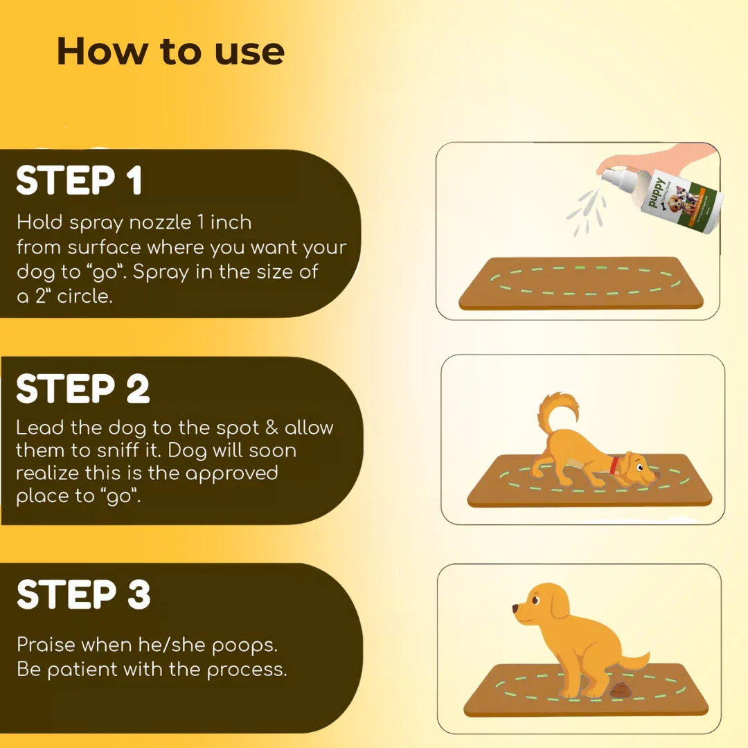 Potty Training Spray For Pets