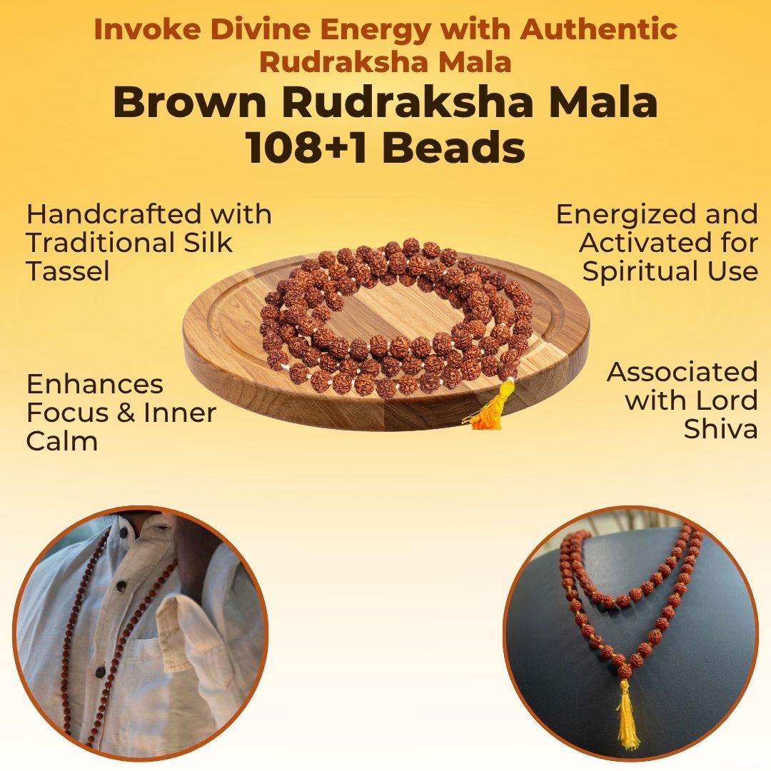 Brown Rudraksha Mala - 108+1 Beads