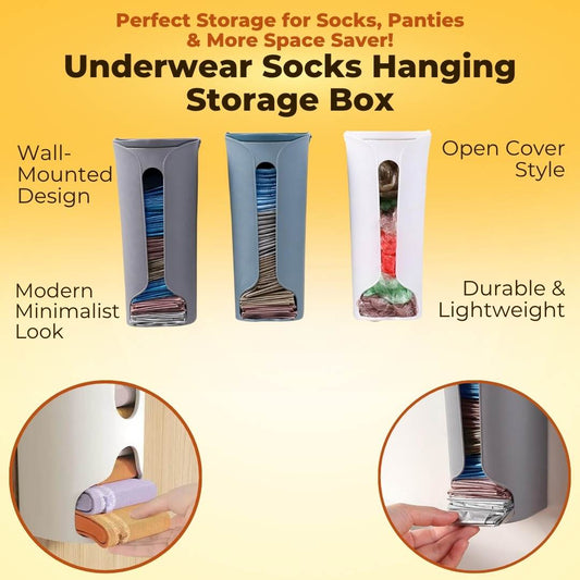 Undergarment & Socks Hanging Storage Box - Pack Of 2
