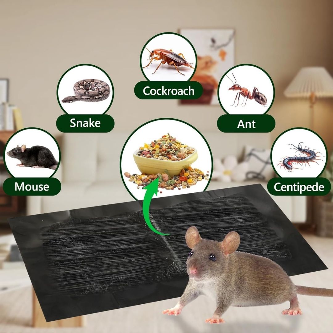 Super Sticky Mouse Trap Pads