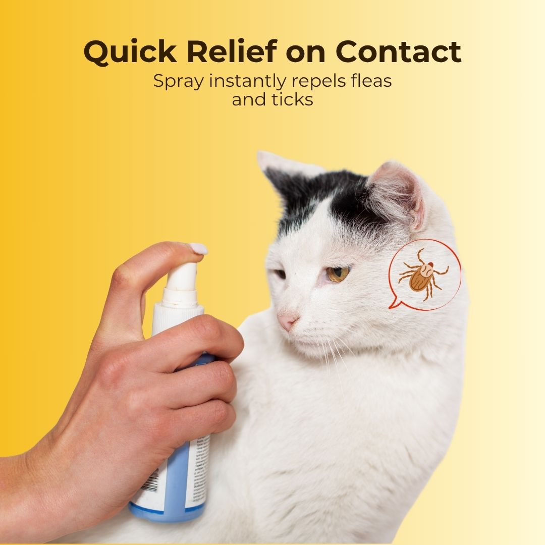 Pet Flea and Tick Spray (100ml) (Pack of 2) with FREE Pet Flea and Tick Comb