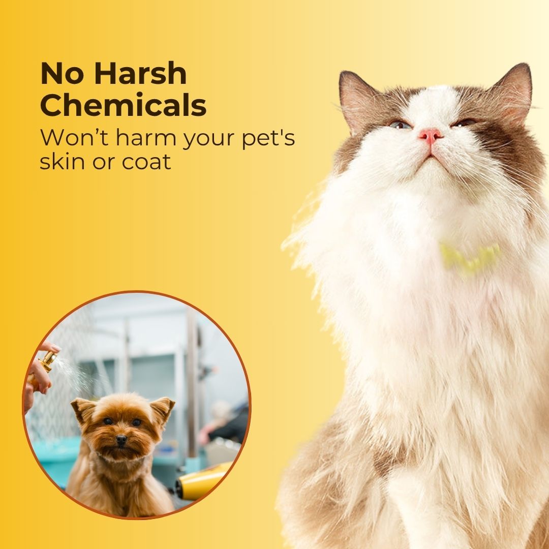 Pet Flea and Tick Spray (100ml) (Pack of 2) with FREE Pet Flea and Tick Comb