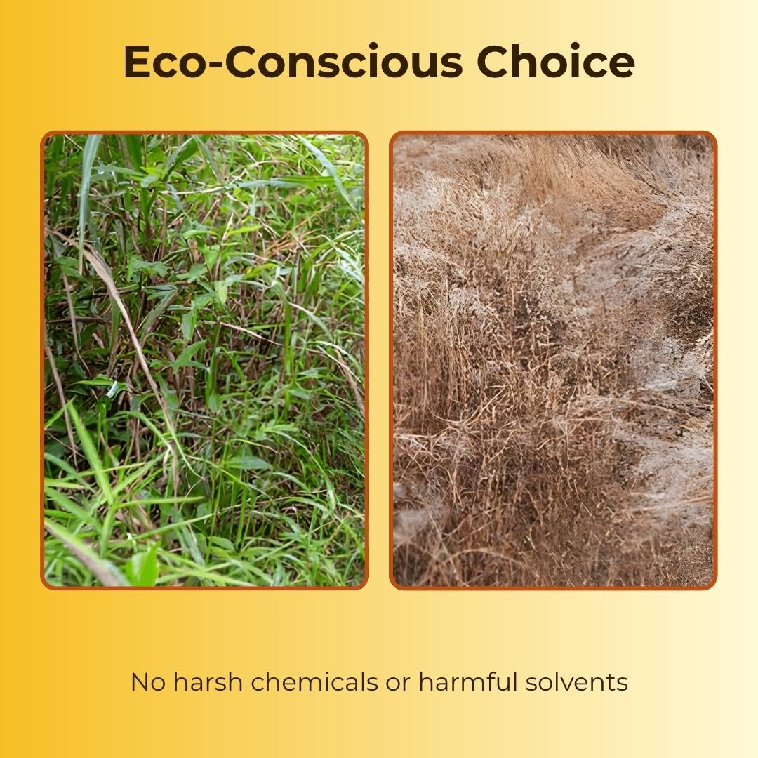 Cyclosinone Herbicide Granules - Pack of 2 (200 gms each)- Certified & Tested ✅