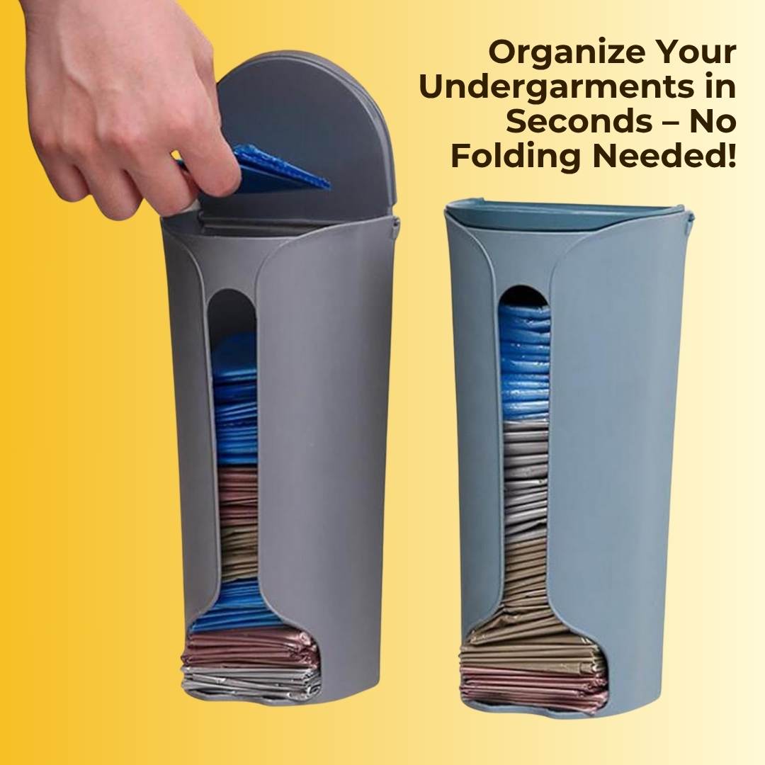 Undergarment & Socks Hanging Storage Box - Pack Of 2