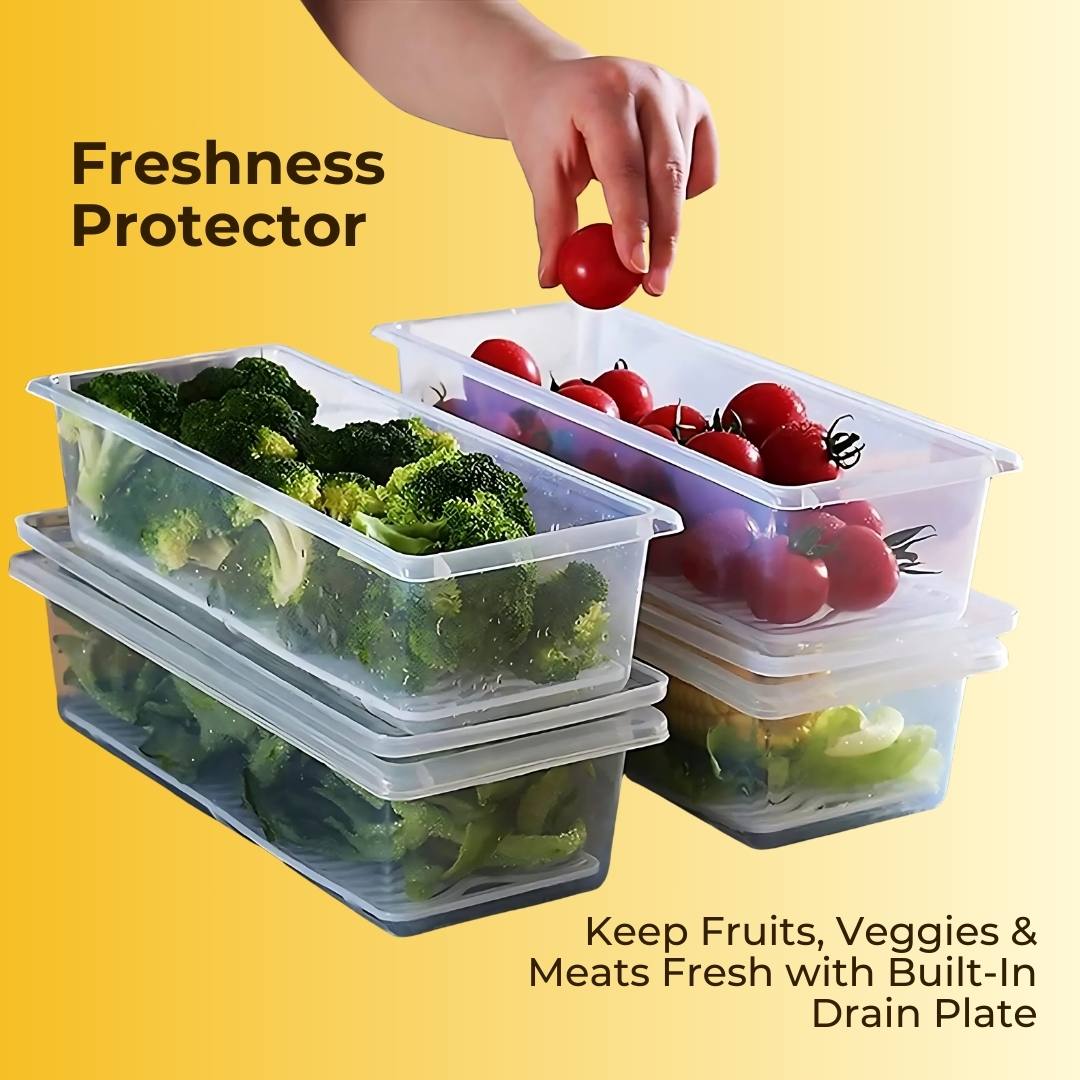 Fridge Storage Container with Drain Plate with Free Kitchen Stickers