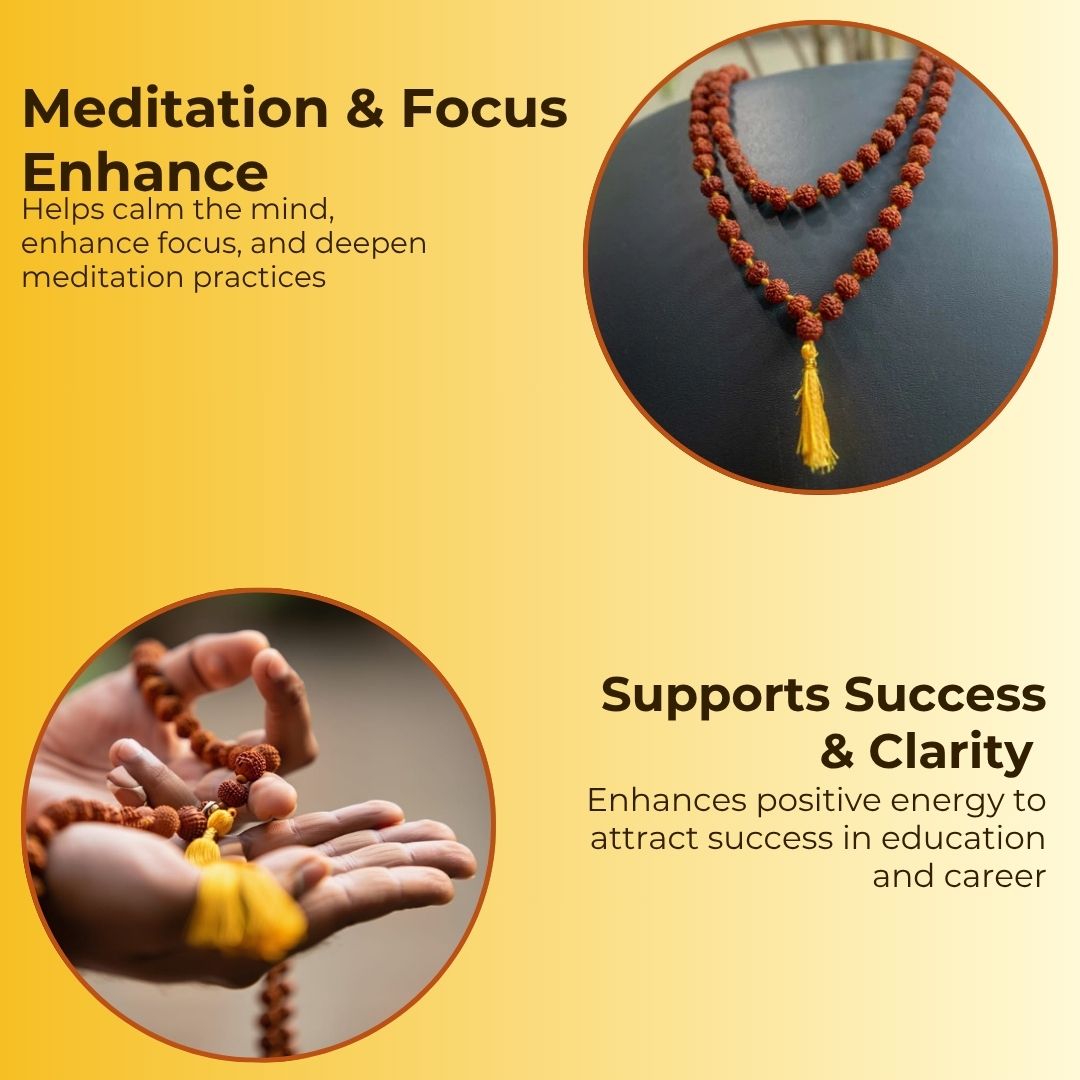 Brown Rudraksha Mala - 108+1 Beads