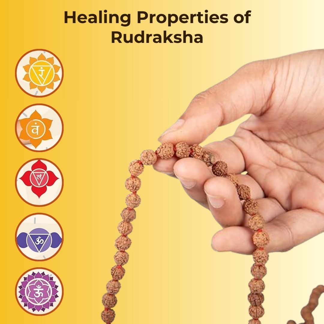 Brown Rudraksha Mala - 108+1 Beads