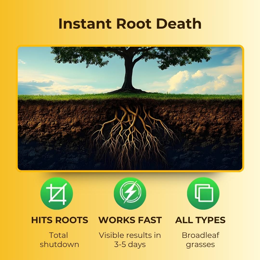 Cyclosinone Herbicide Granules - Pack of 2 (200 gms each)- Certified & Tested ✅