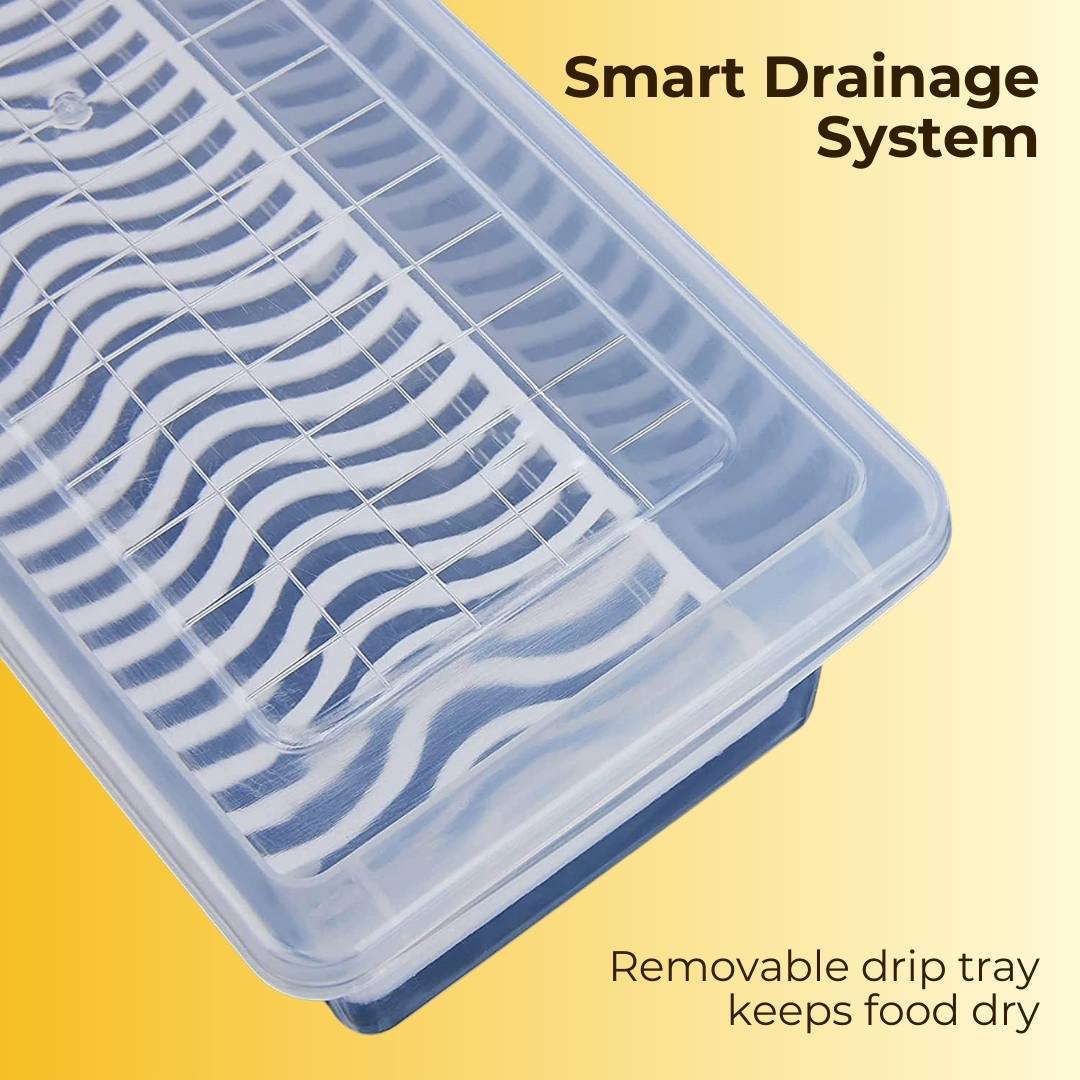 Fridge Storage Container with Drain Plate with Free Kitchen Stickers
