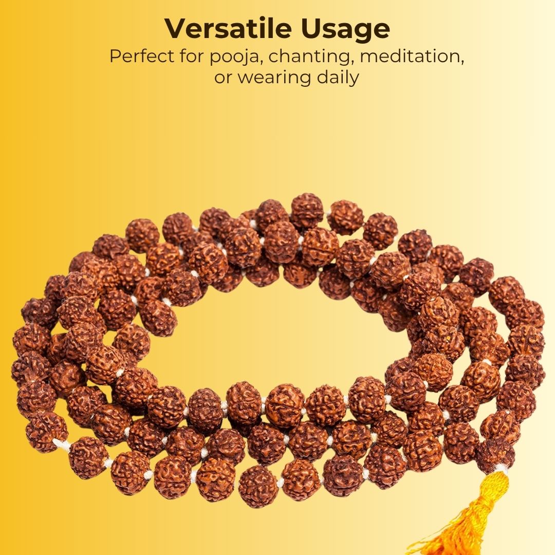 Brown Rudraksha Mala - 108+1 Beads