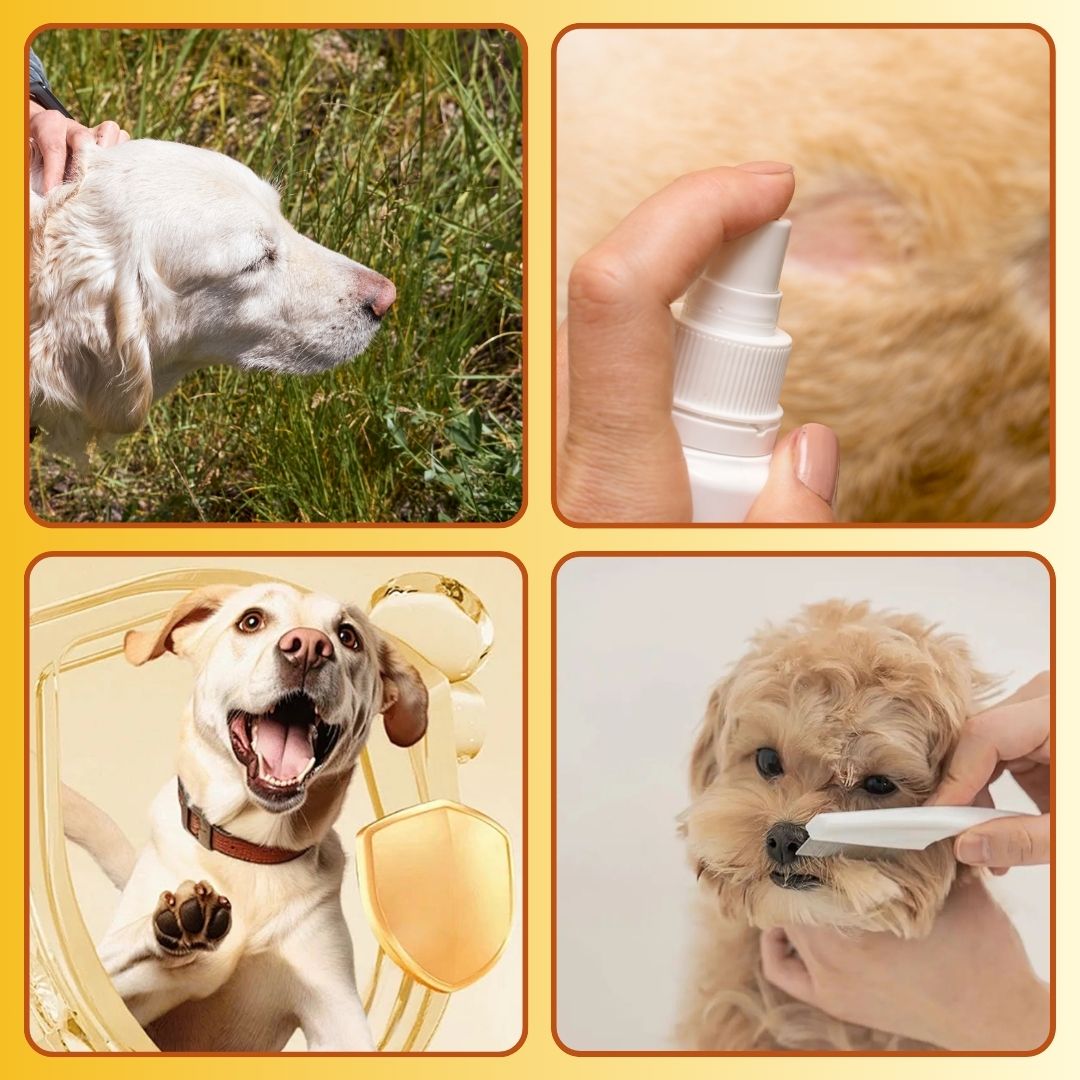 Pet Flea and Tick Spray (100ml) (Pack of 2) with FREE Pet Flea and Tick Comb