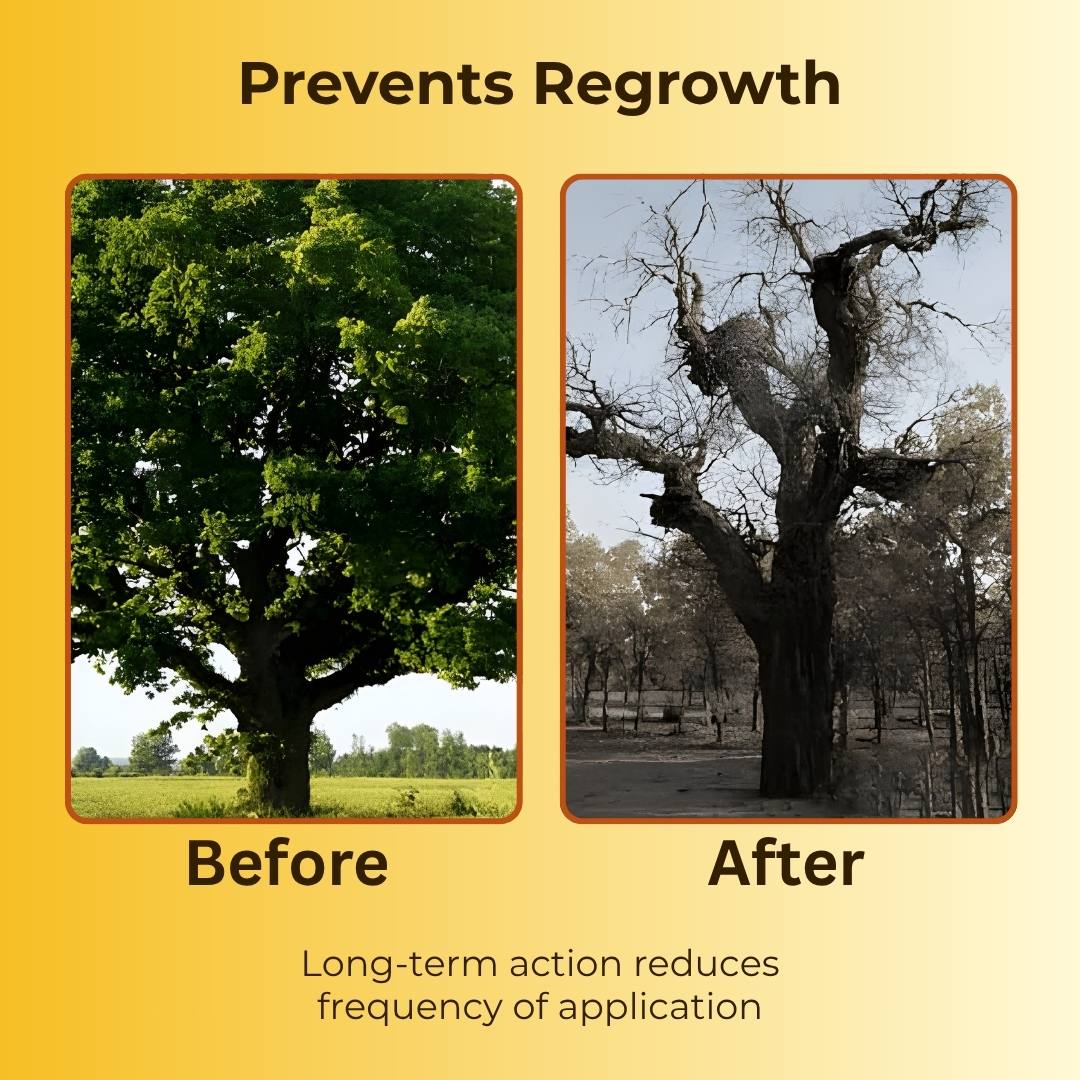 Cyclosinone Herbicide Granules - Pack of 2 (200 gms each)- Certified & Tested ✅