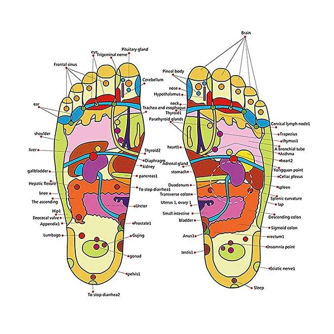 ELITEPRO™ Acupressure Foot Massage Slippers- 3 Month Warranty