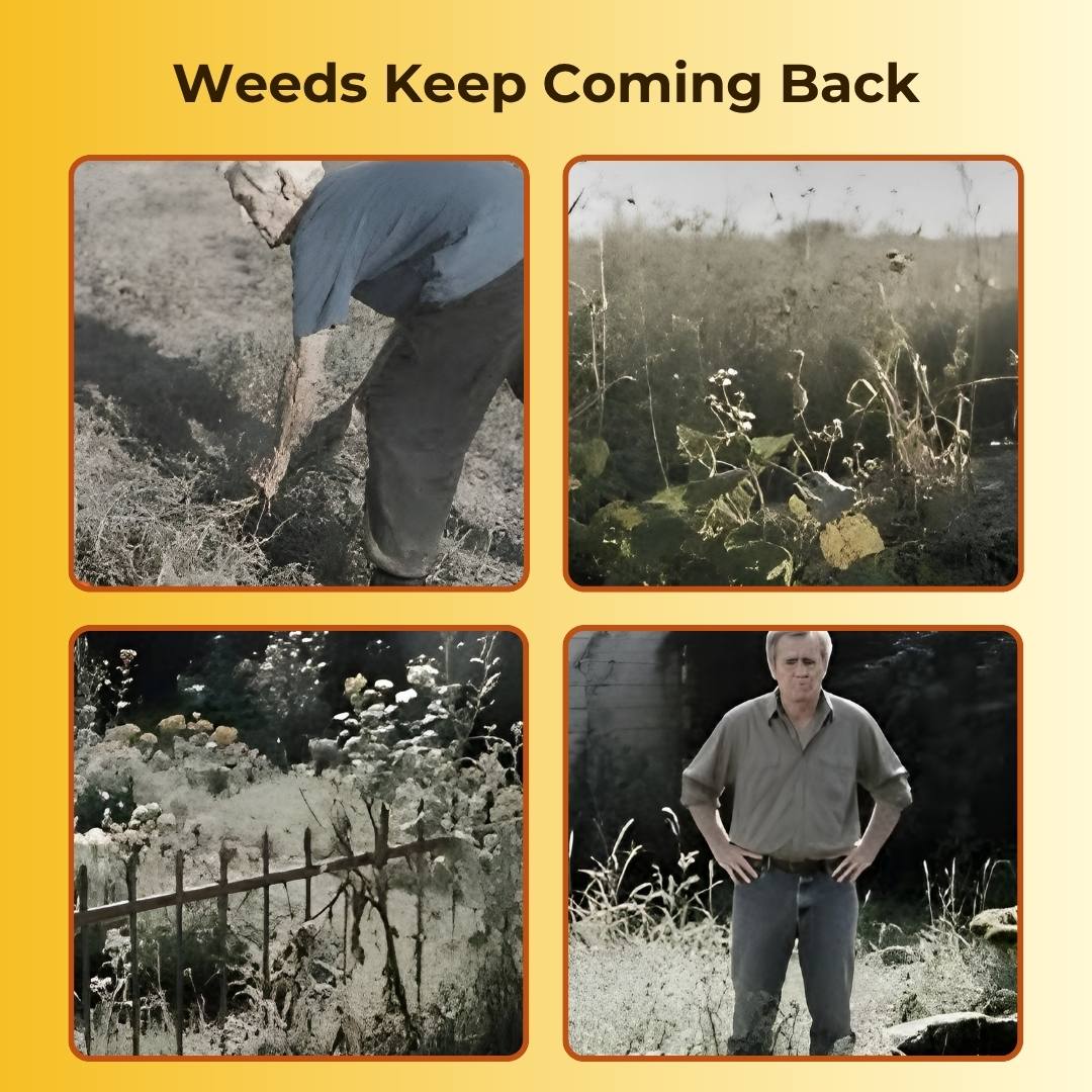 Cyclosinone Herbicide Granules - Pack of 2 (200 gms each)- Certified & Tested ✅