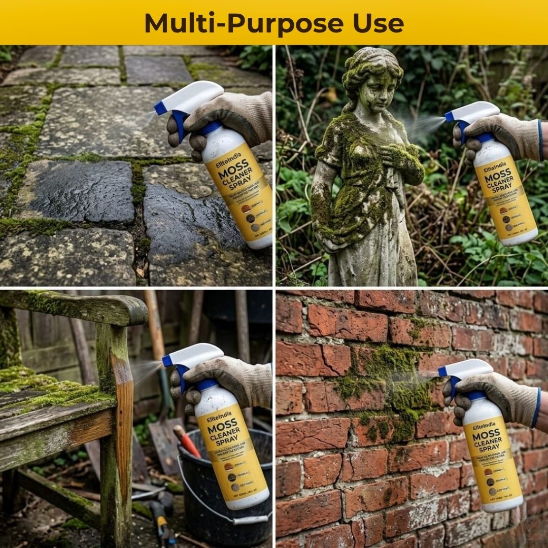 Moss Cleaner Spray