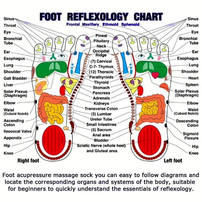 ELITEPRO™ ACUPRESSURE REFLEXOLOGY SOCKS WITH MASSAGE STICK-  Body Pain Relief Socks with Trigger Point Massage Tool (Approved by Indian Medical Society)