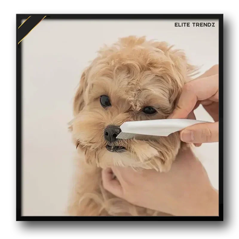 ELITE PET FLEA COMB- SAVE YOUR PETS FROM HARMFUL DISEASES CAUSED BY TICKS , PESTS , FOOD LEFTOVERS ETC.