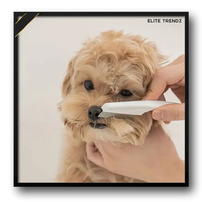 ELITE PET FLEA COMB- SAVE YOUR PETS FROM HARMFUL DISEASES CAUSED BY TICKS , PESTS , FOOD LEFTOVERS ETC.