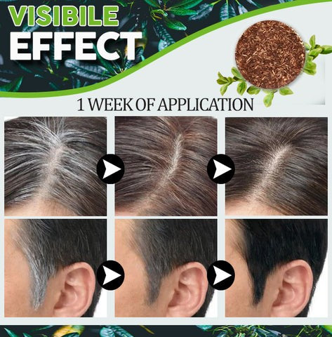 ELITEPRO™ Organic Herbal Grey Reverse Shampoo Bar (Buy 1 Get 1 Free)